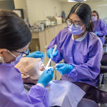 two dental students practicing on a mannequin