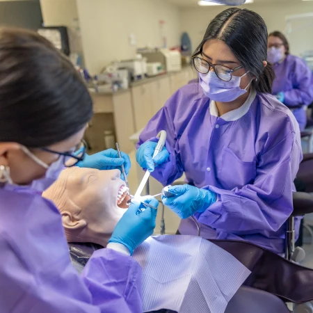 two dental students practicing on a mannequin