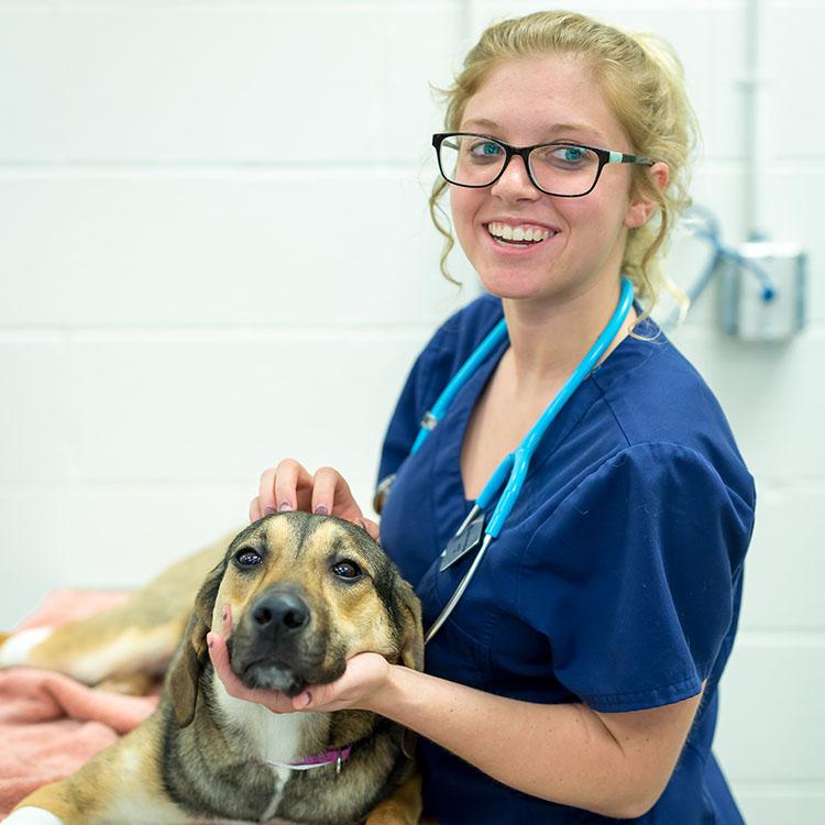 vet tech student holding a dog