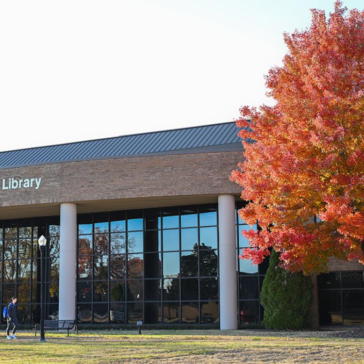 outside of library building and a tree